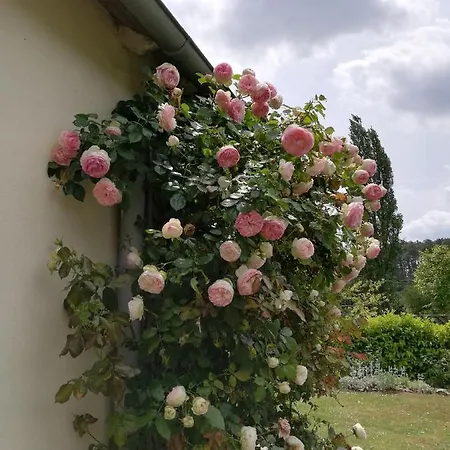 D'hotes Chez Elsa Et Gildas בית הארחה Mairé